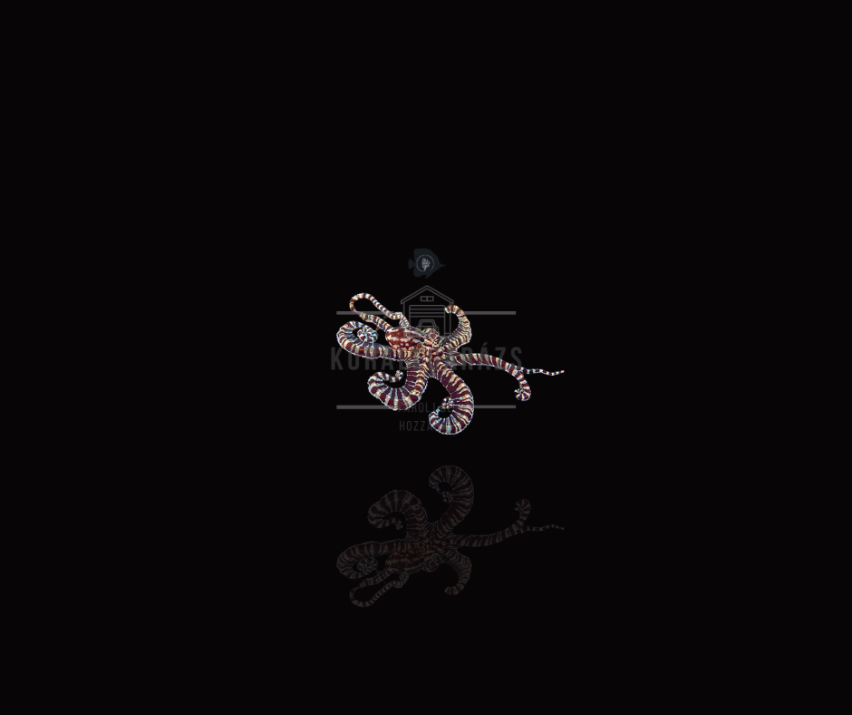 Thaumoctopus Mimicus
